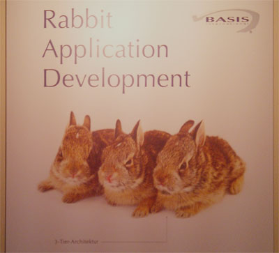 Rabbit Application Development